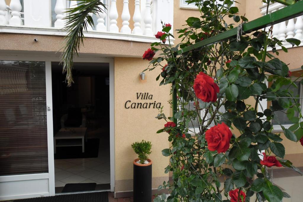 Canaria Apartment